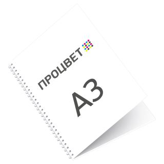 Презентация на пружине А3, 4+0 (30 листов+обложка+подложка)