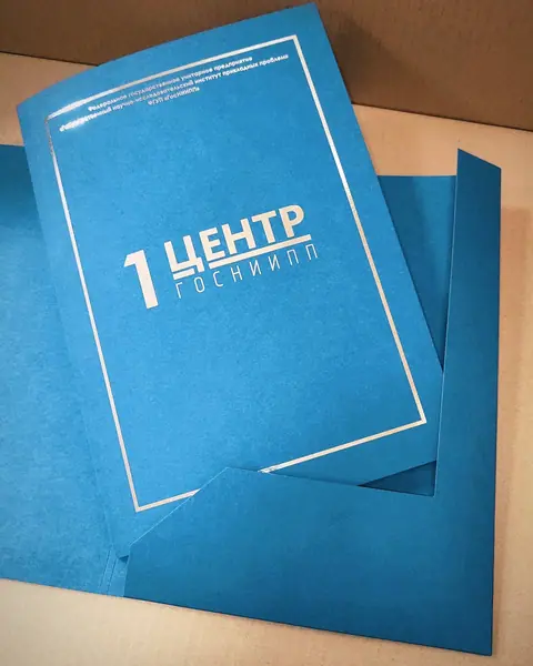Вырубные папки из синего дизайнерского картона с тиснением серебряной фольгой