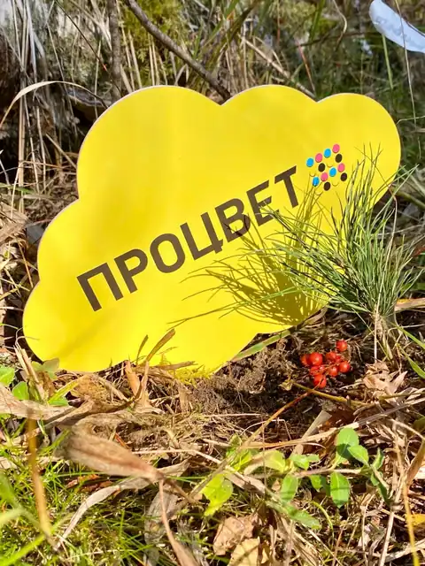 Фигурная пластиковая табличка в форме облака с логотипом: УФ-печать и контурная резка