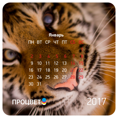 Магниты с календарем