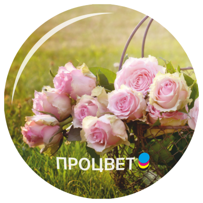 Металлические закатные магниты