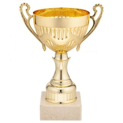 Медали с логотипом