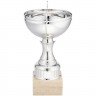 Кубок Appro, малый, серебристый