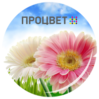 Металлический магнит закатной круглый (диаметр 37 мм)