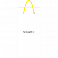 Пакет бумажный под бутылку 330х90х140 мм, полноцветная печать 4+0