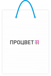Пакет бумажный 210*330*90 мм, полноцветная печать с внешней стороны