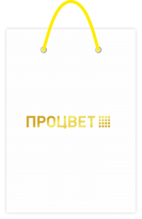 Пакет бумажный 150*190*60 мм с тиснением с одной стороны