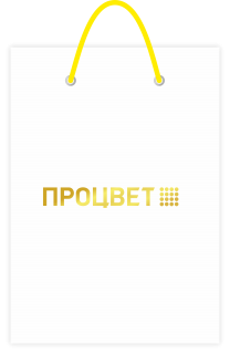 Пакет бумажный 150*190*60 мм с тиснением с одной стороны