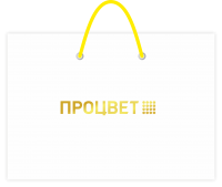 Пакет бумажный 260*186*30 мм с тиснением с одной стороны