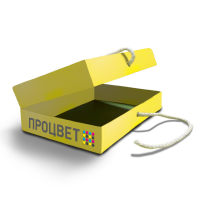 Коробка подарочная на завязках 160х110х55 мм