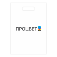 Пакет бумажный 250*360*80 мм с вырубными ручками, полноцветная печать с внешней стороны