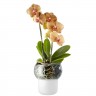 Горшок для орхидеи с функцией самополива Orchid Pot, малый, белый