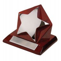 Награда «Звезда»