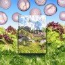 Ежедневник «Зеленая долина», недатированный