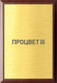 Наградной диплом 23х30 см с гравировкой на пластиковой накладке