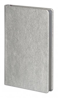Блокнот Ingot Mini, серебристый