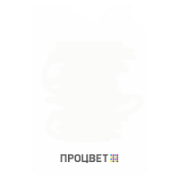 Фигурный (вырубной) виниловый магнит, до формата А6.