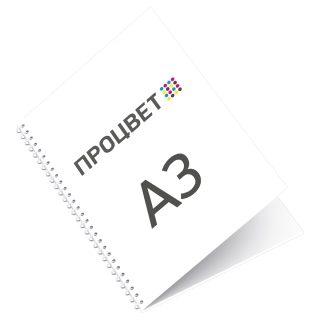 Презентация на пружине А3 (10 листов+обложка+подложка)