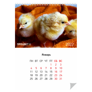 Календарь перекидной А4 12 листов + обложка с печатью и подложка без печати 