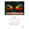 Календарь перекидной А4 с вырубкой 12 листов + обложка с печатью и подложка без печати
