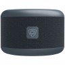 Умная колонка Smartvoice с «Марусей», серая