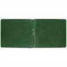 Набор Apache Billfold, зеленый