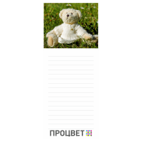 Магнит с блоком для записи 60х150 мм 30 листов