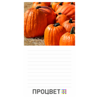 Магнит с блокнотом 70×130 мм 24 листа