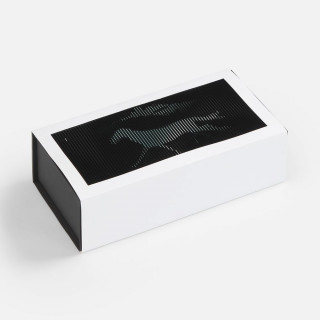 Коробка «Динамика успеха»