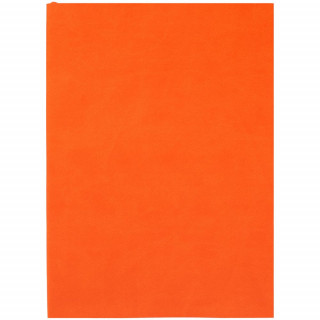 Ежедневник Flat Light, недатированный, оранжевый