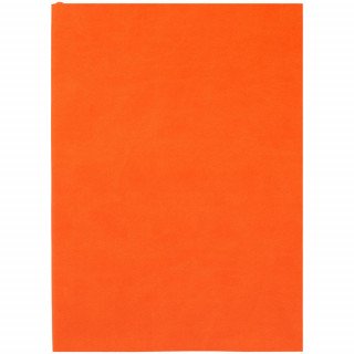 Ежедневник Flat Light, недатированный, оранжевый
