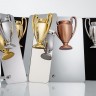 Награда Triumph Bronze
