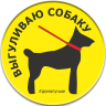 Значок закатной круглый "выгуливаю собаку" диаметр 37 мм, крепление булавка