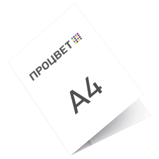  Папка картонная А4 Эконом с картонным карманом (корешок 4 мм)