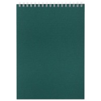 Блокнот Nettuno в линейку, зеленый