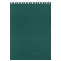 Блокнот Nettuno в линейку, зеленый