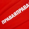 Свитшот детский «Правая левая», красный