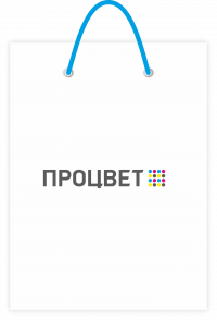 Пакет бумажный 300х370х100 мм, полноцветная печать 