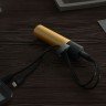 Внешний аккумулятор stickBank 2600 mAh, золотистый