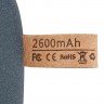 Внешний аккумулятор Pebble 2600 мАч, серо-синий