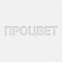 Тиснение блинтовое (бесцветное) формата 90*50 мм