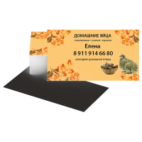 Визитки магнитные 4+0 (цветные с одной стороны, 50х90 мм)
