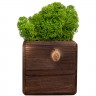 Декоративная композиция GreenBox Fire Cube, зеленый
