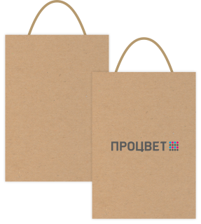 Бумажный крафт пакет 350х260х140 мм, шелкография 3+0, крученые ручки