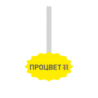 Воблер фигурный 90х50 мм