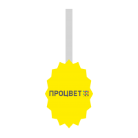 Воблер фигурный А6 (148х105 мм)