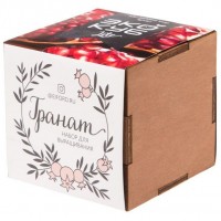 Набор для выращивания «Экокуб Lite», гранат