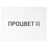 Флажок 13х19 см настольный (без подставки)