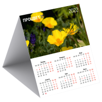 Календарь-домик вертикальный (100х150 мм)
