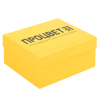 Коробка подарочная крышка-дно 270х150х120 мм